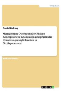 Management Operationeller Risiken - Konzeptionelle Grundlagen und praktische Umsetzungsmöglichkeiten in Großsparkassen