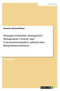 Strategieverständnis, Strategisches Management, Umwelt- und Unternehmensanalyse anhand eines Beispielunternehmens