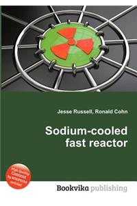 Sodium-Cooled Fast Reactor