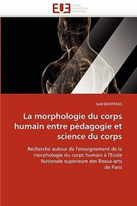 Morphologie Du Corps Humain Entre Pédagogie Et Science Du Corps