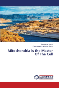 Mitochondria is the Master Of The Cell