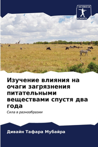 Изучение влияния на очаги загрязнения пит