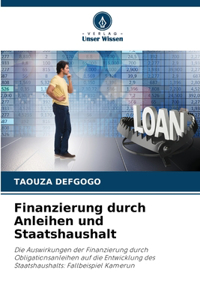 Finanzierung durch Anleihen und Staatshaushalt
