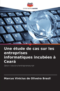 étude de cas sur les entreprises informatiques incubées à Ceará