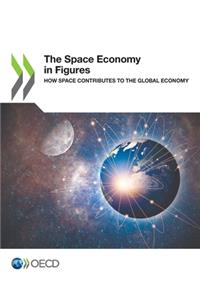 The Space Economy in Figures