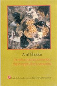 La Estructura Econmica de La Agricultura Atrasada