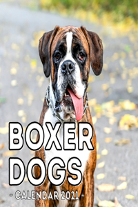 Boxer Dogs Calendar 2021