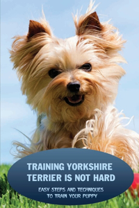 Training Yorkshire Terrier Is Not Hard