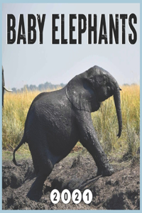 baby elephants