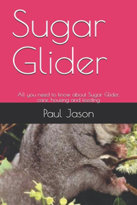 Sugar Glider: All you need to know about Sugar Glider, care, housing and feeding