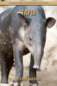 Tapir