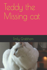 Teddy the Missing cat