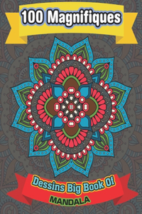 100 Magnifiques Dessins Big Book Of mandala