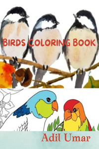 Birds Coloring Book for Kids