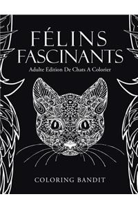 Félins Fascinants