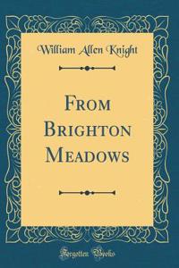 From Brighton Meadows (Classic Reprint)