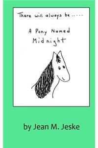 There Will Always Be A Pony Named Midnight