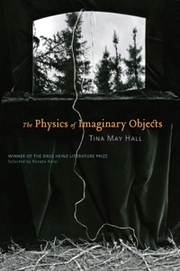 Physics of Imaginary Objects