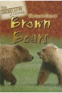 Secret Lives of Brown Bears