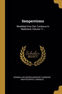 Sempervirens