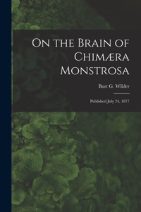 On the Brain of Chimæra Monstrosa