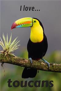 I Love Toucans