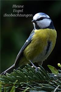 Meine Vogel Beobachtungen