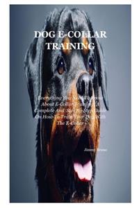 Dog E-collar Training