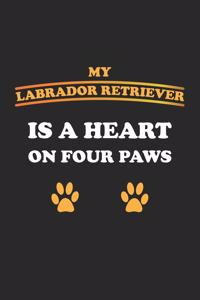 My Labrador Retriever is a heart on four paws
