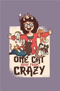 One Cat Away from Crazy