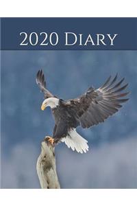 2020 Diary