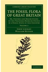 The Fossil Flora of Great Britain