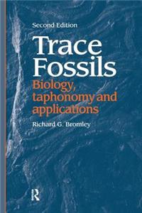 Trace Fossils