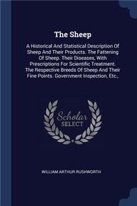Sheep