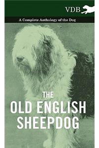 Old English Sheepdog - A Complete Anthology of the Dog