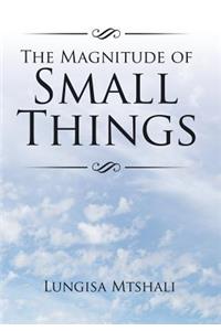 Magnitude of Small Things