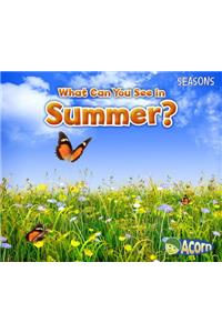 Seasons What Can You See in Summer?