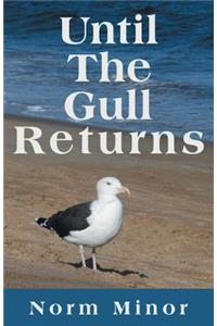 Until the Gull Returns