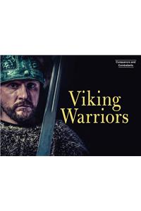 Viking Warriors