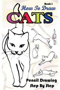 How To Draw Cats