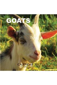 Goats Calendar 2017