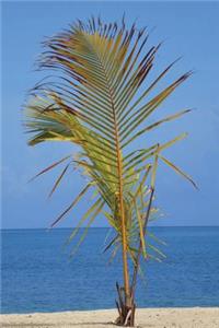 Roatan Island Honduras Journal
