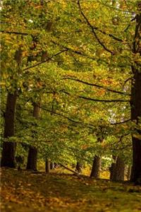 Autumn Forest Journal