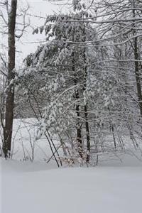 Pretty Winter Weather Journal