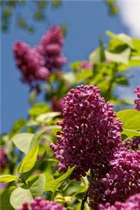 A Beautiful Lilac Bloom Journal
