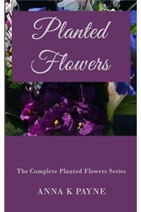 Planted Flowers Series - All in One Volume