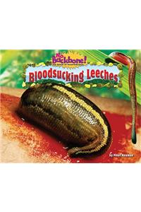 Bloodsucking Leeches