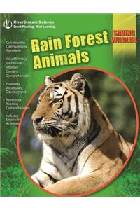 Rain Forest Animals