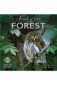 Soul of the Forest 2021 Wall Calendar: Traveling the Globe, Connecting the World