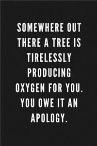 Somewhere Out There A Tree Is Tirelessly Producing Oxygen For You. You Owe It An Apology.